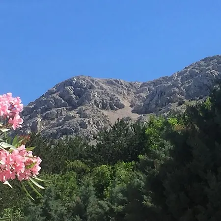 Appartement Juranic I