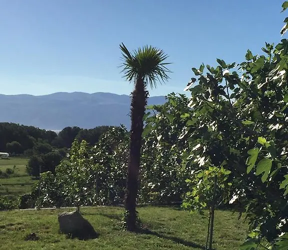 Juranic I Appartement